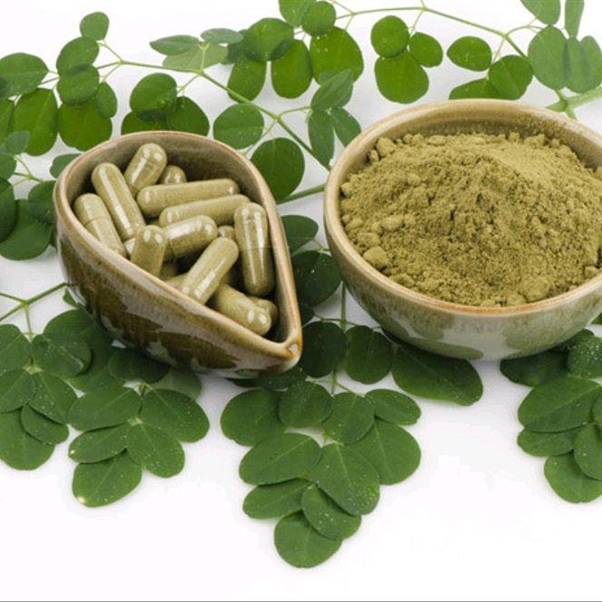 Buy Organic Moringa Powder Capsules - Moringa Capsules Price in Pakistan