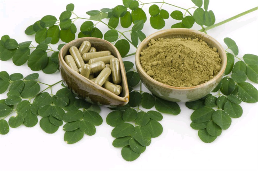 Buy Organic Moringa Powder Capsules - Moringa Capsules Price in Pakistan
