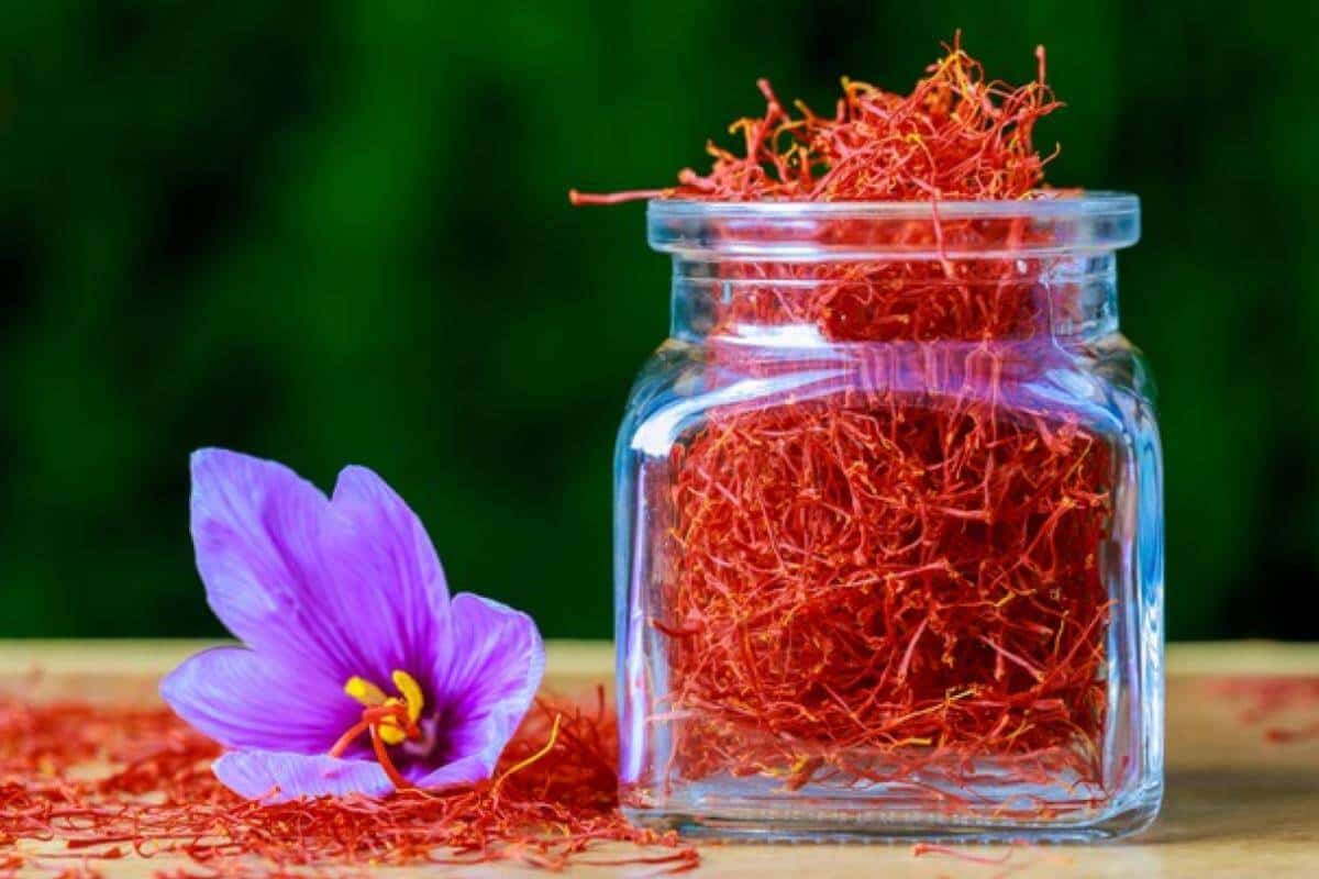Buy Organic Saffron Zaffran Saffron Zaffran Price in Pakistan