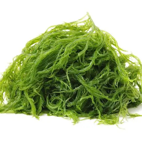 Seaweed