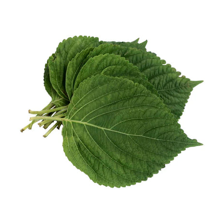 Sesame Leaves