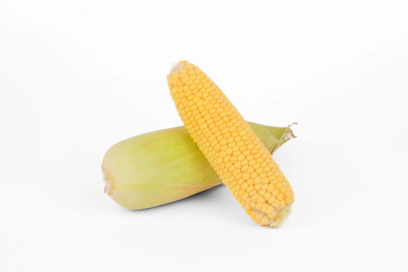 Corn