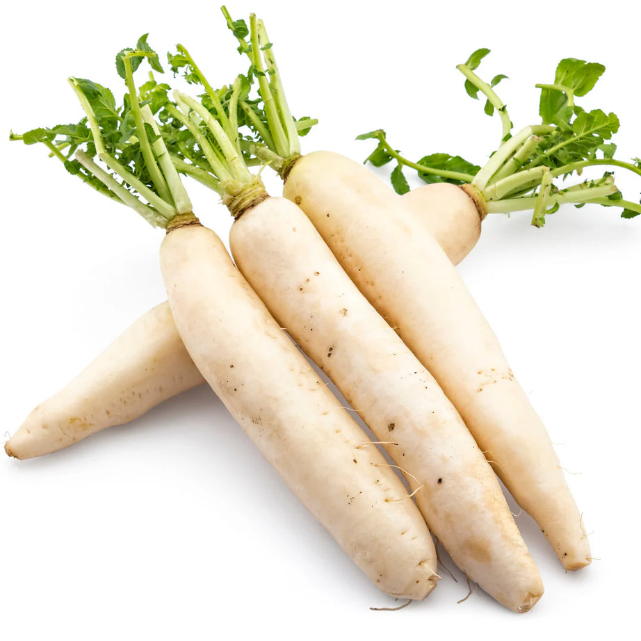 Daikon Radish