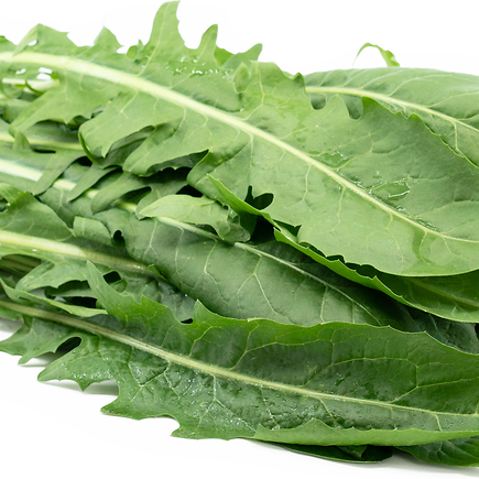 Dandelion Greens