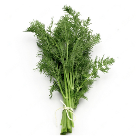 Dill