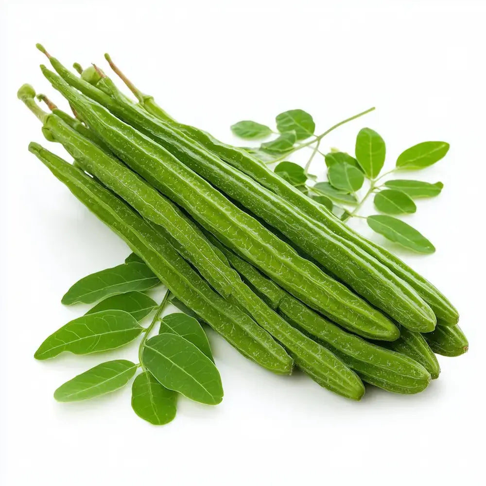 Drumstick - Moringa