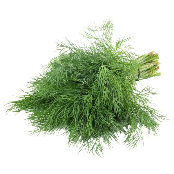 Fennel Leaves