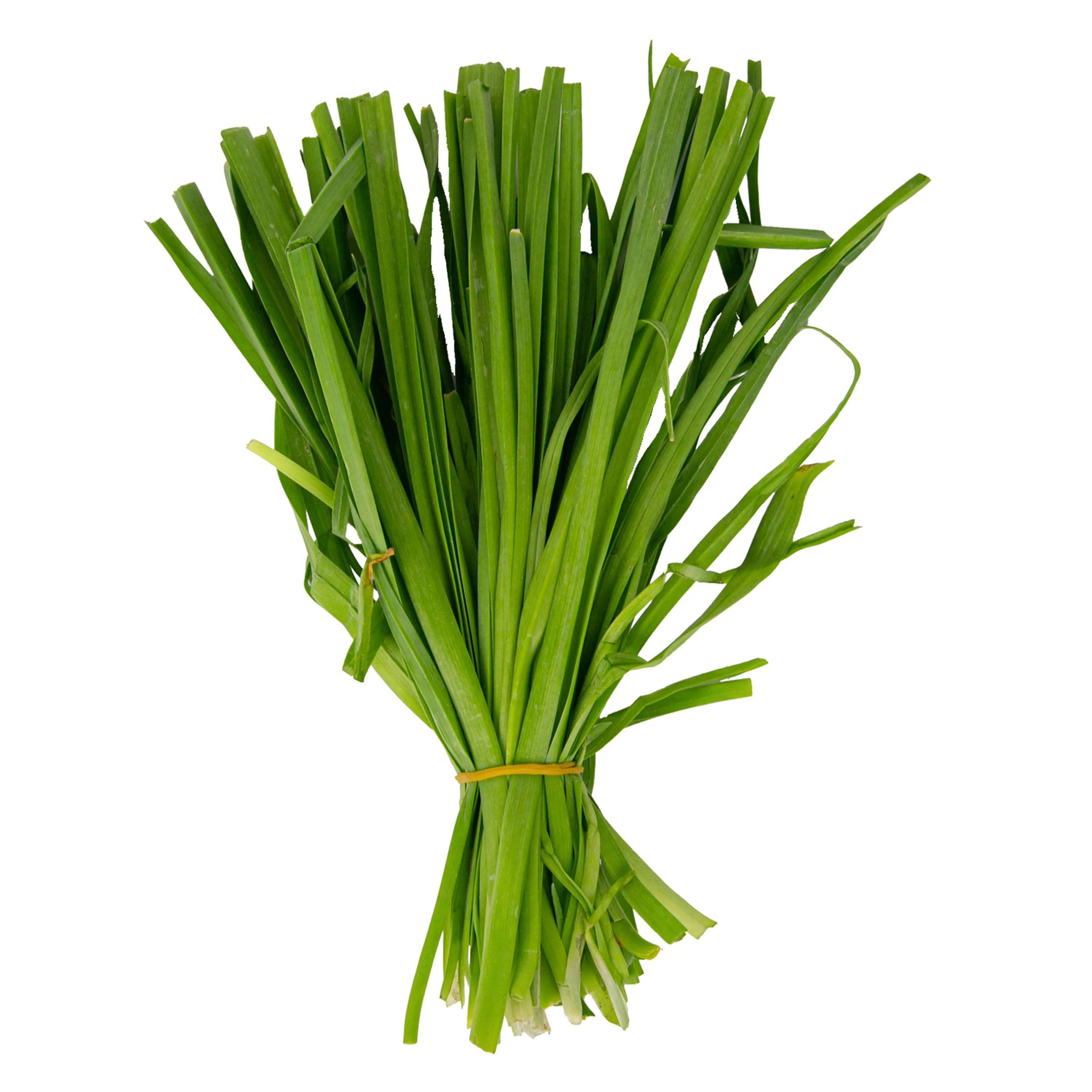 Garlic Leaves
