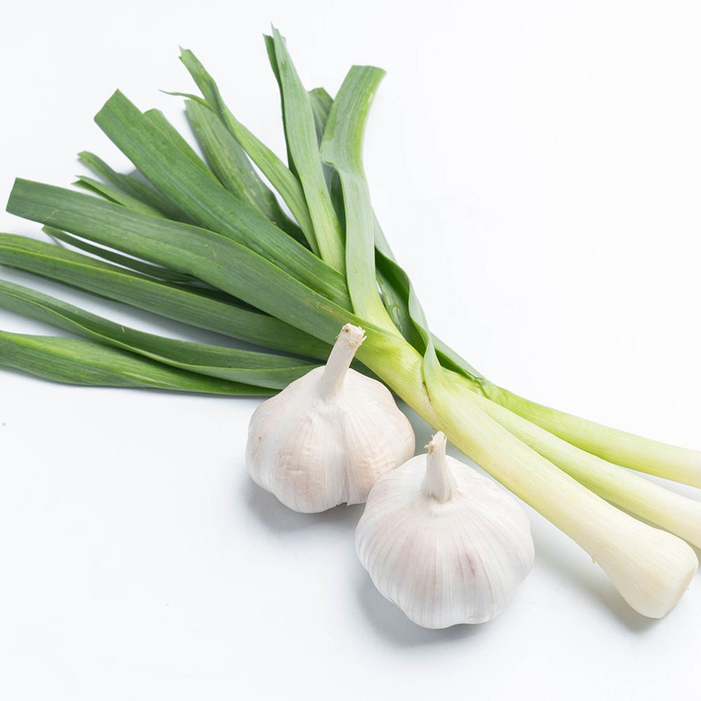 Green Garlic