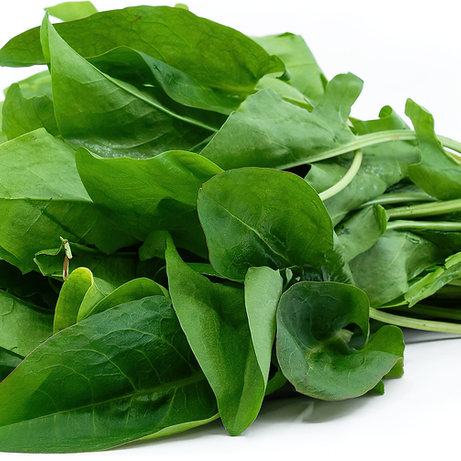 Green Sorrel
