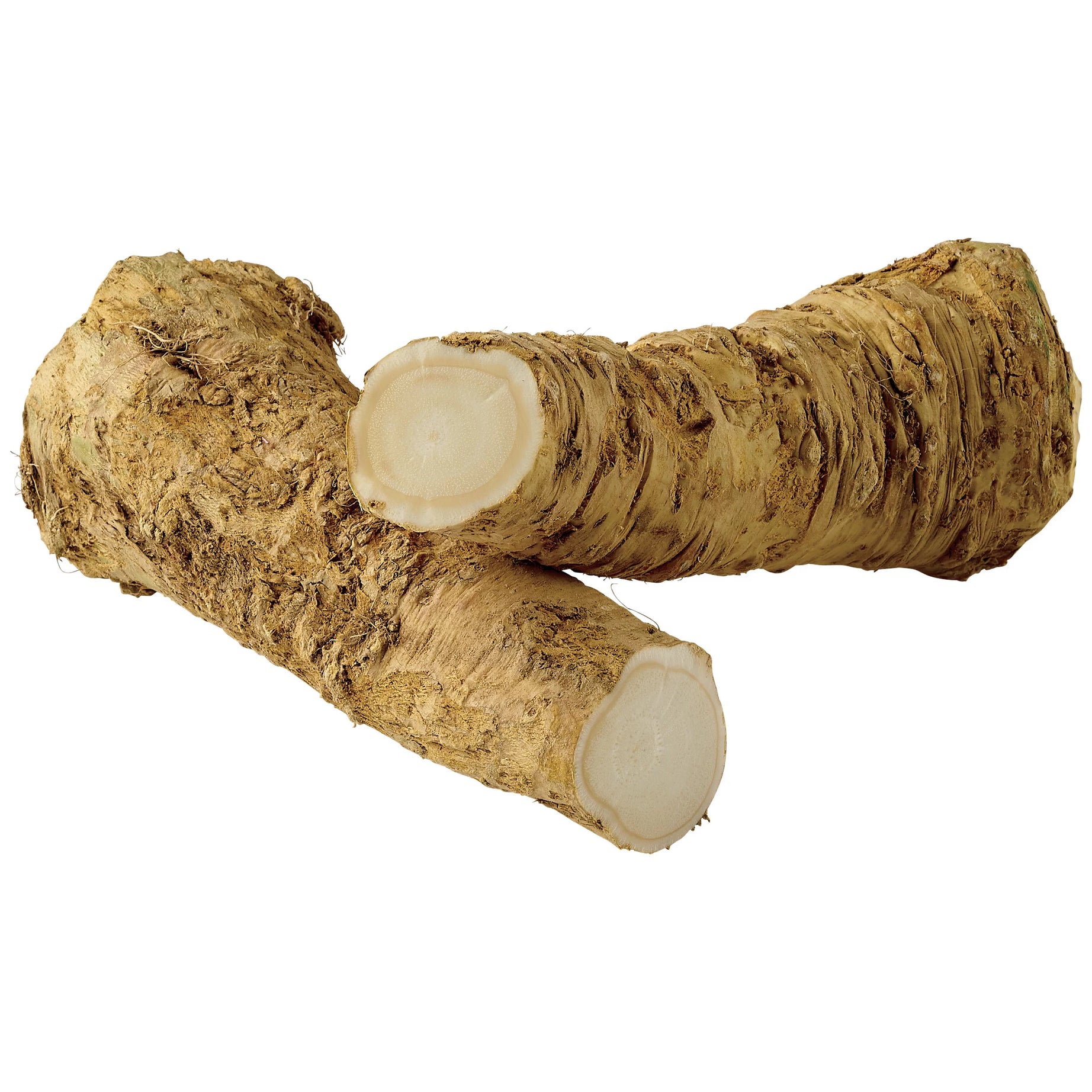 Horseradish