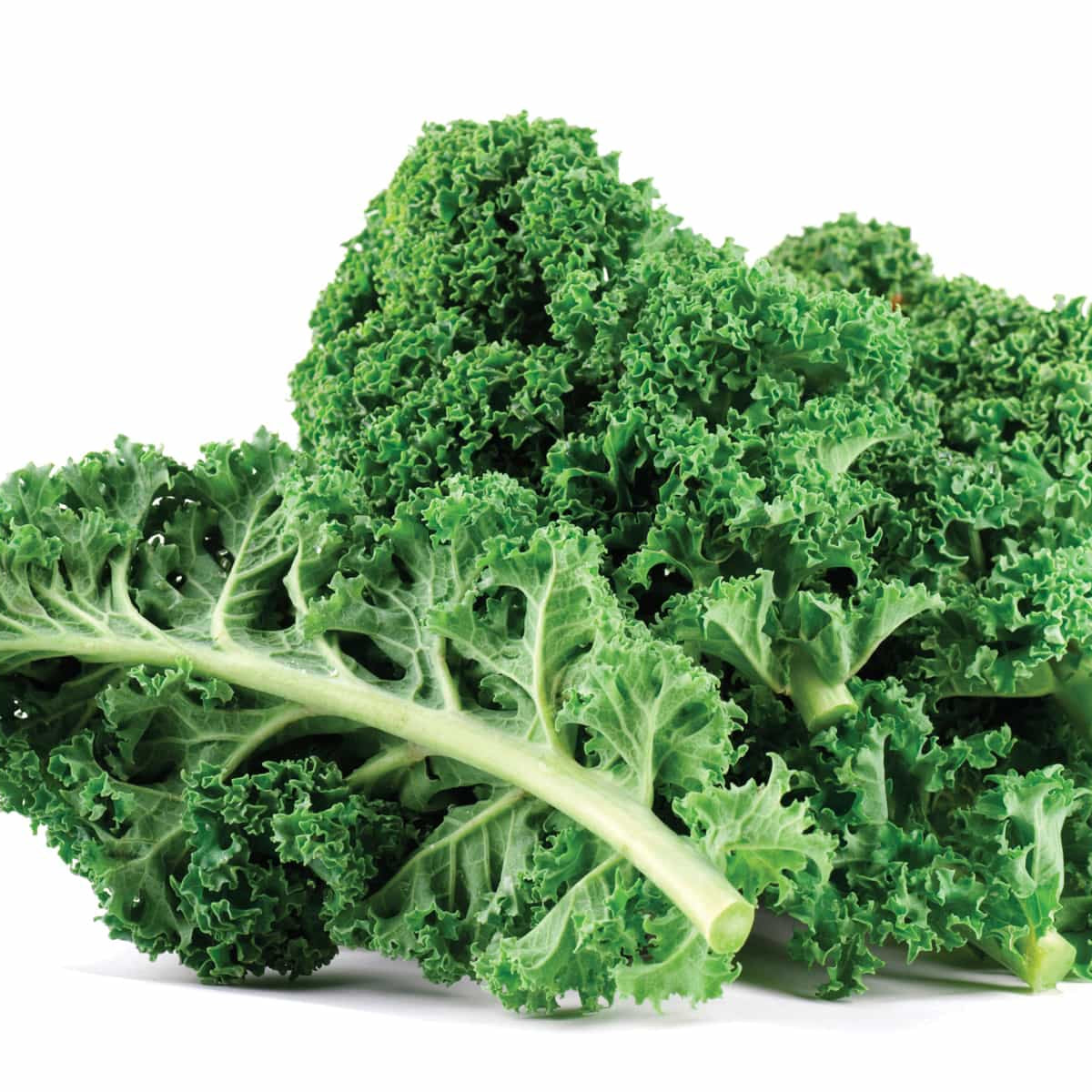 Kale