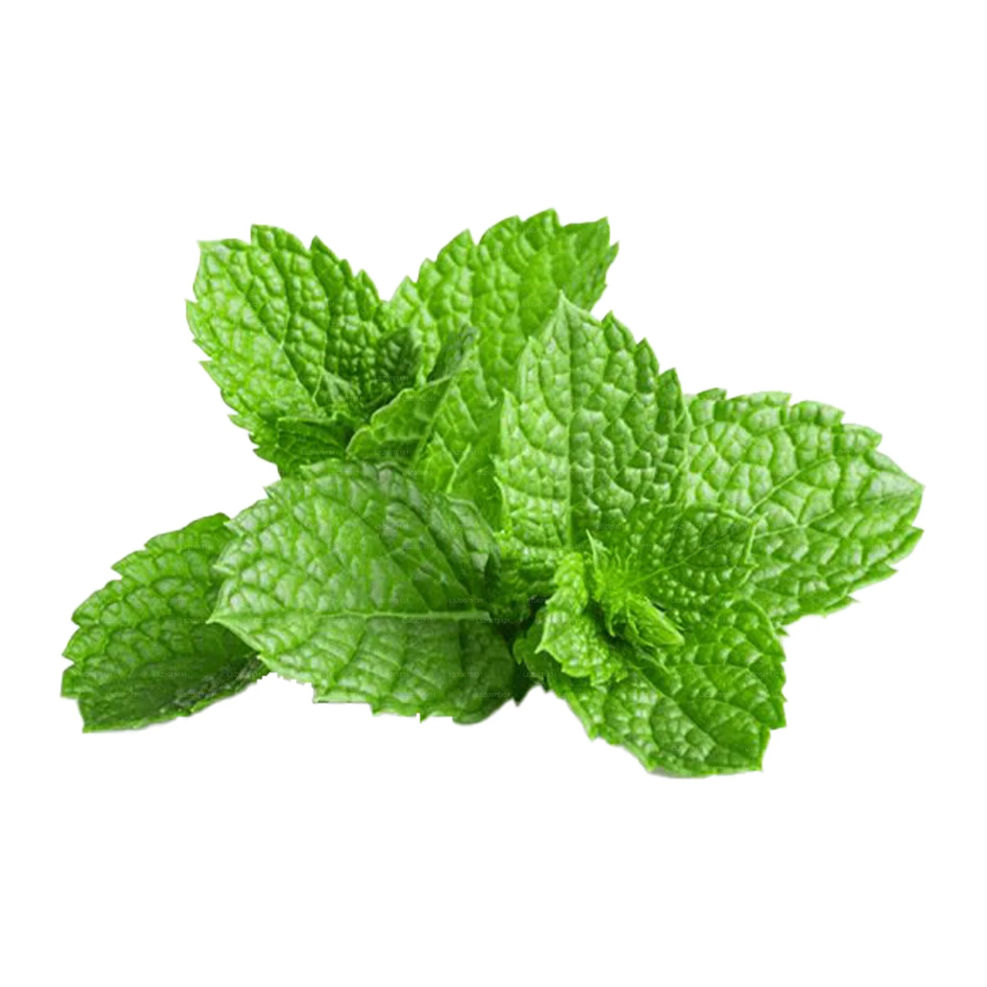Mint