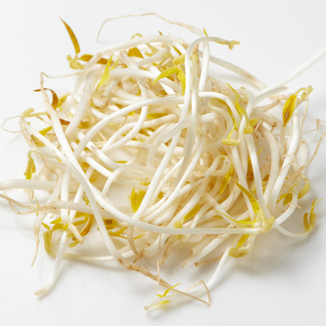 Mung Bean Sprouts