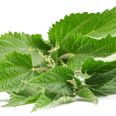 Nettles