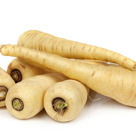Parsnip