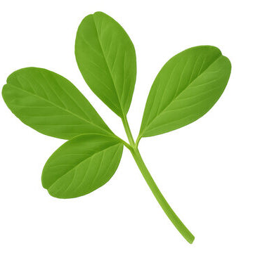 Peanut Leaves