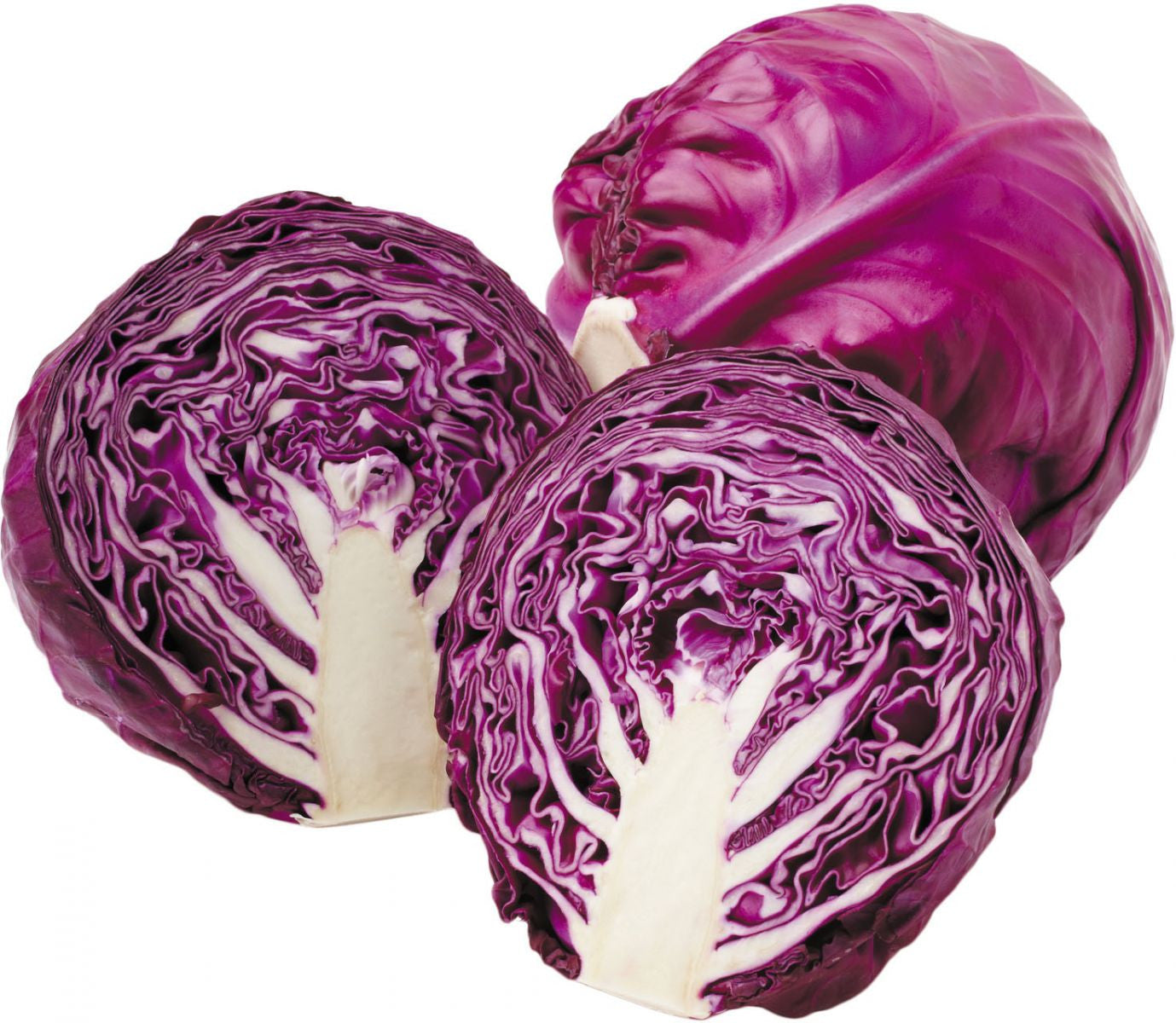 Purple Cabbage