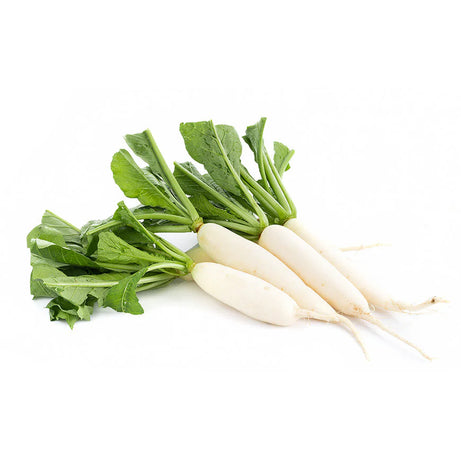 Radish