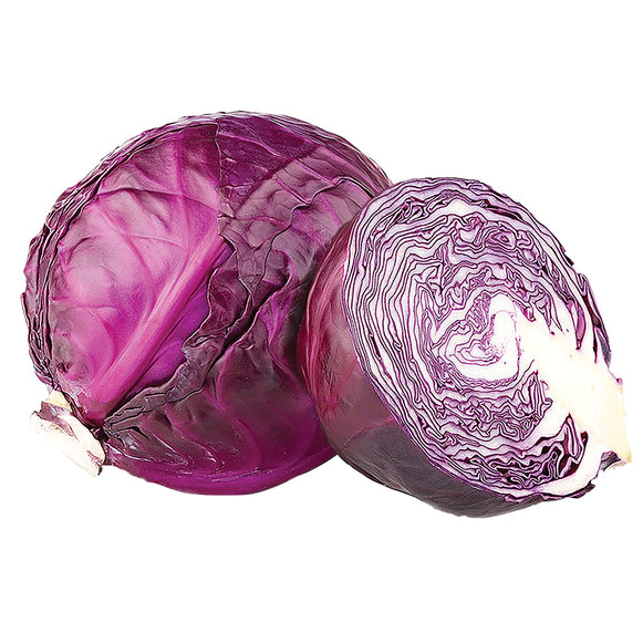 Red Cabbage