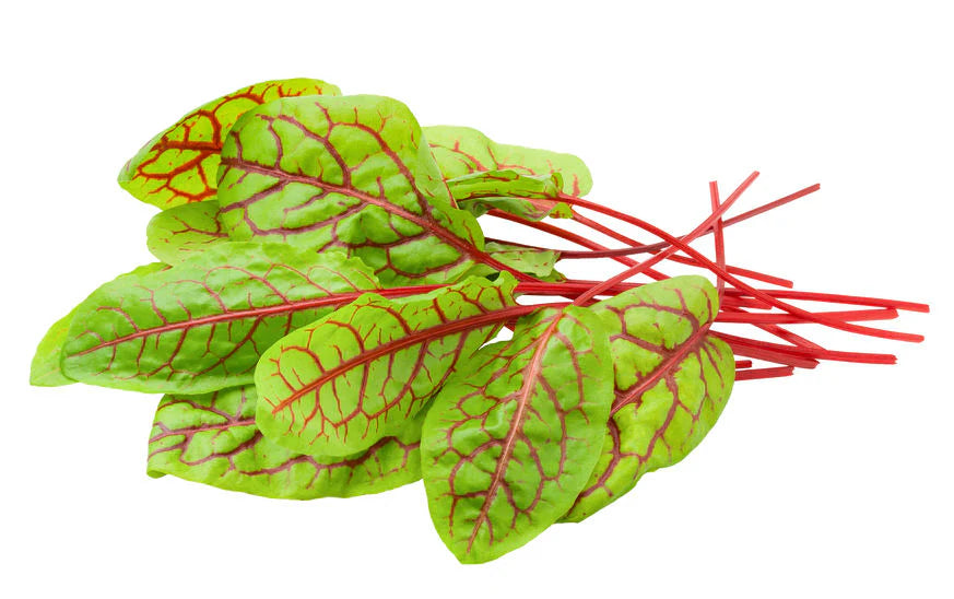 Red Sorrel