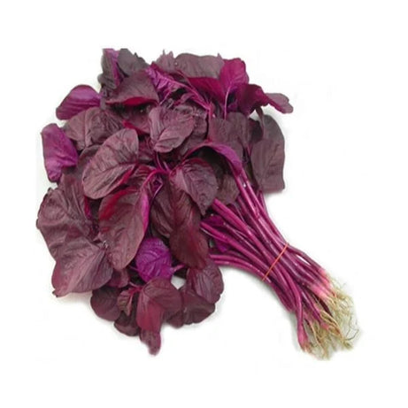 Red Spinach