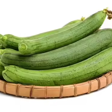 Ridge Gourd