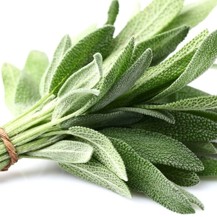 Sage