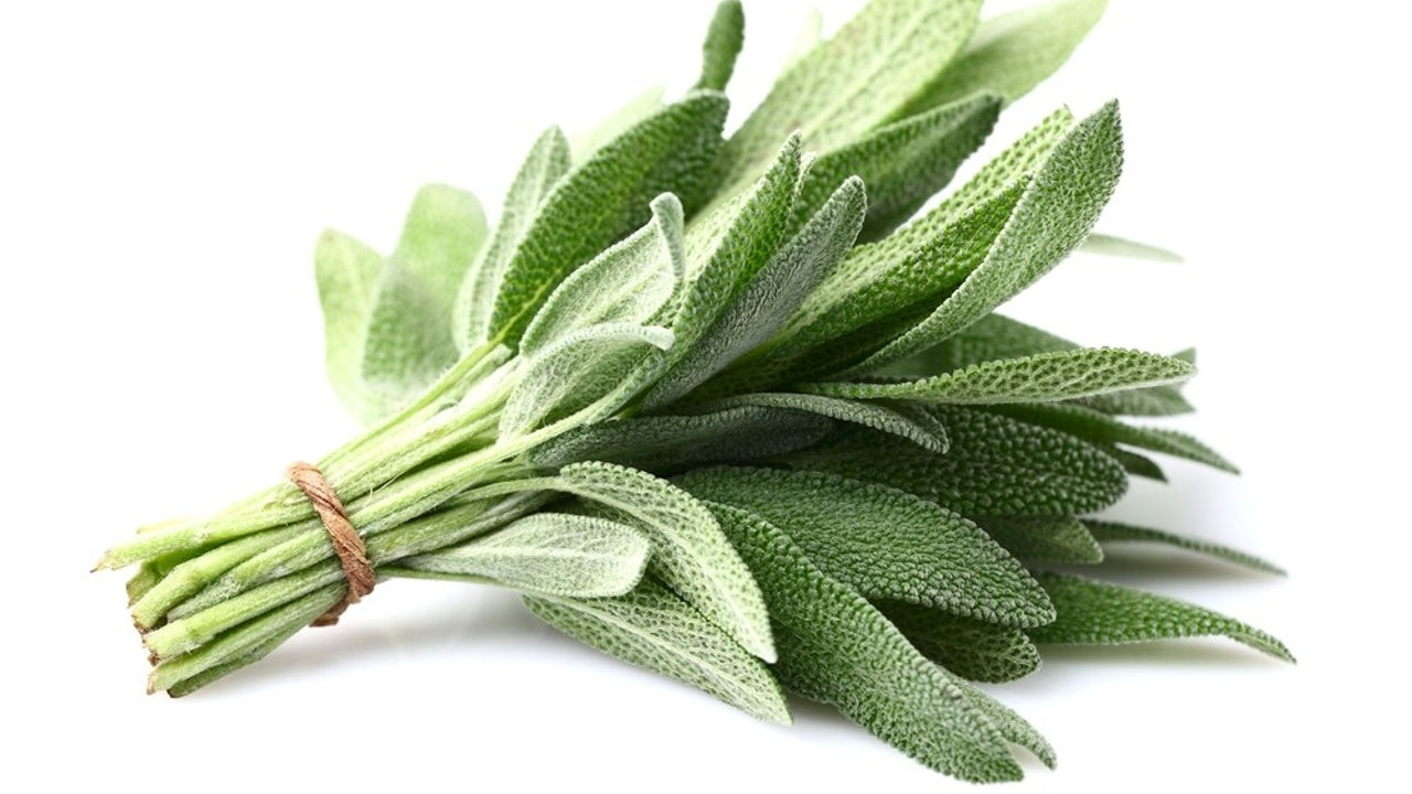 Sage