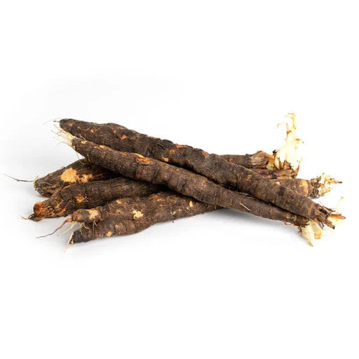 Salsify