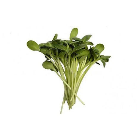 Sunflower Microgreens