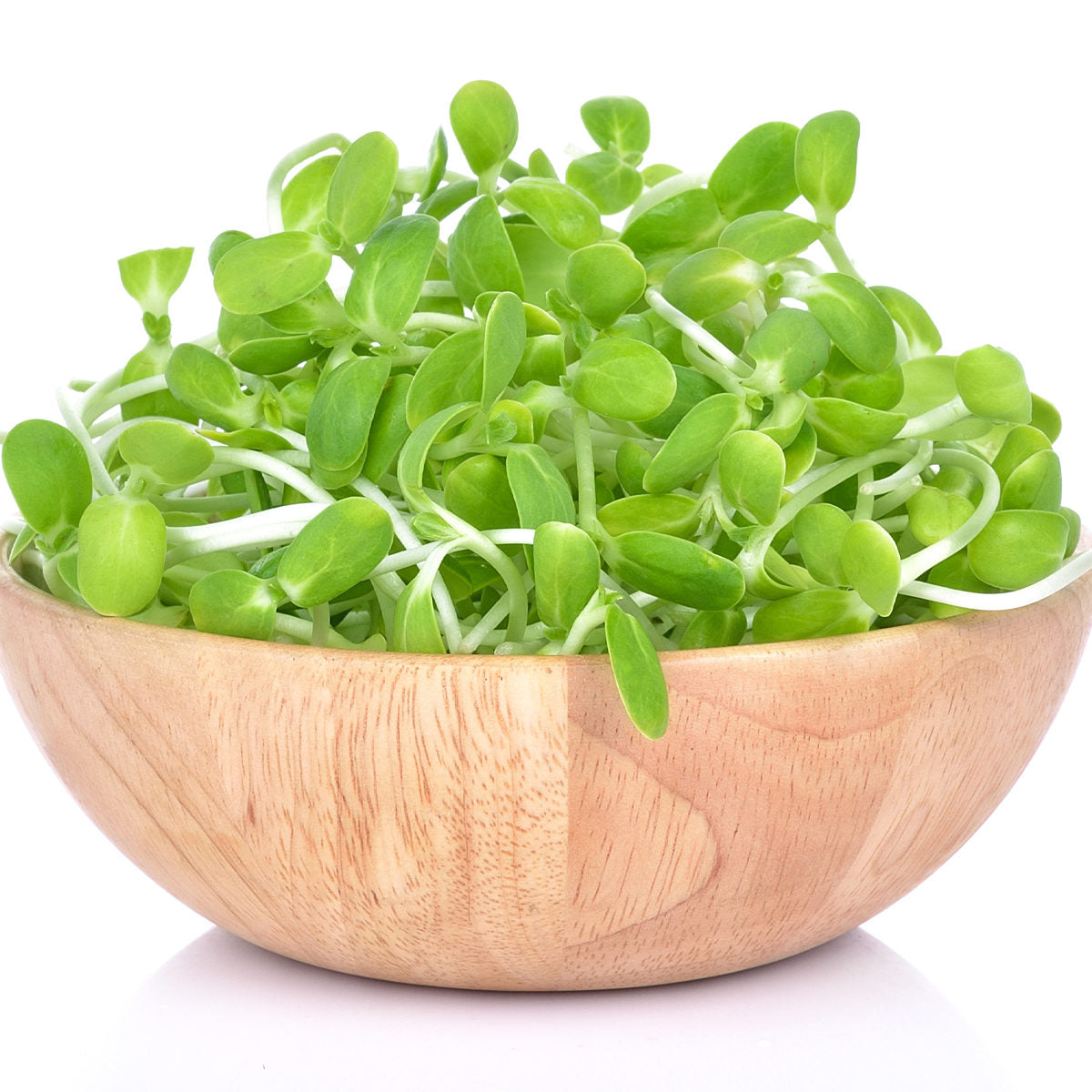 Sunflower Sprouts