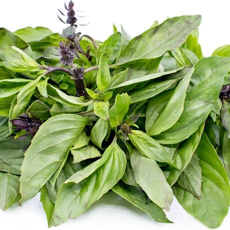Thai Basil