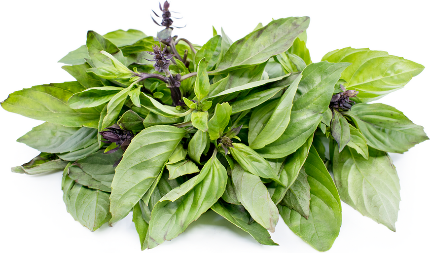 Thai Basil