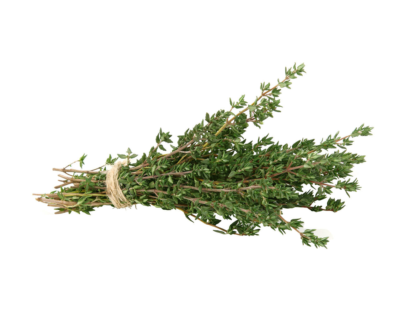 Rosemary