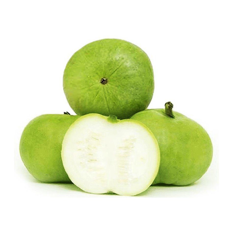 Tinda - Apple Gourd