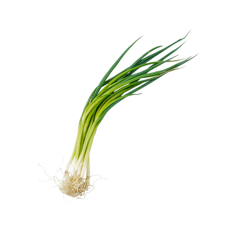 Wild Onion
