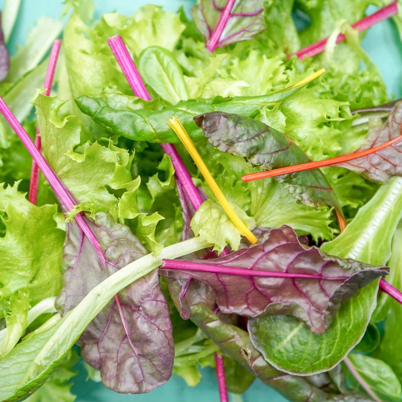 Beet Greens