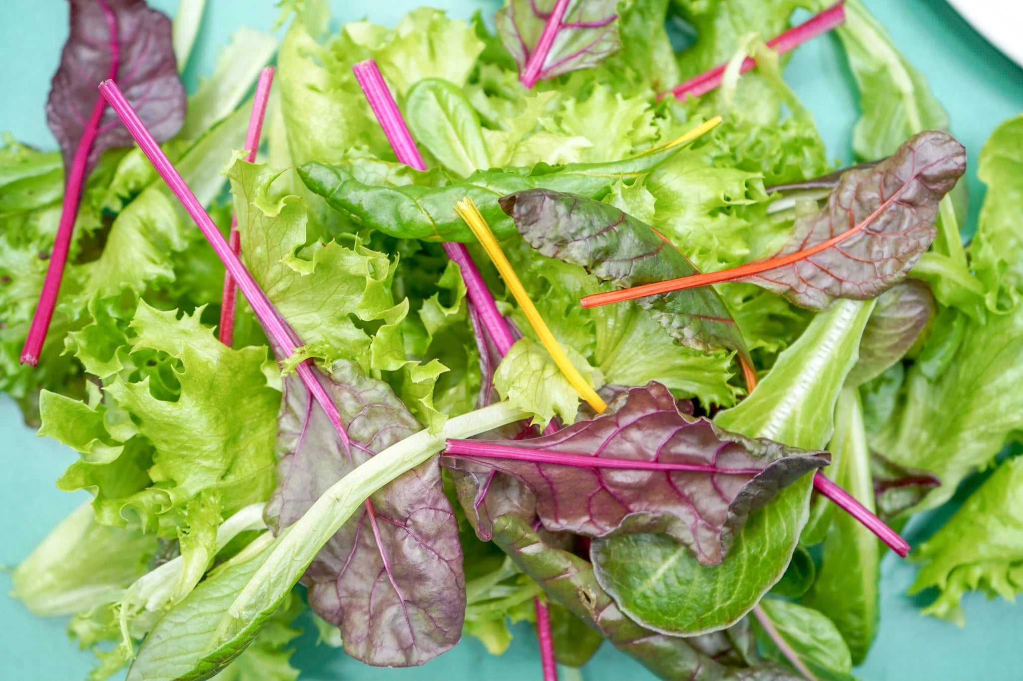Beet Greens