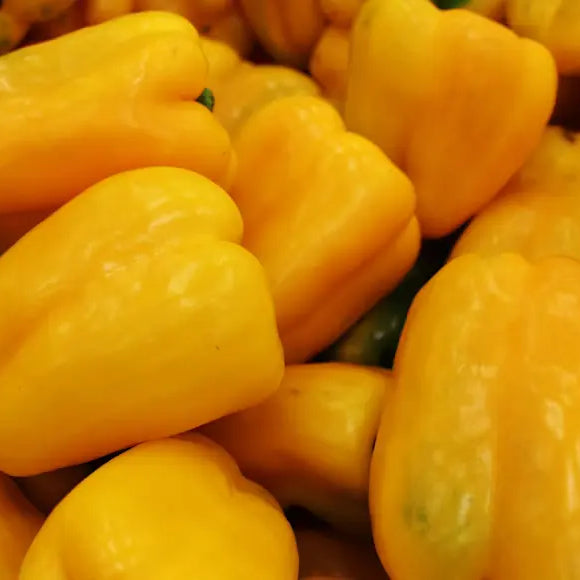 Bell Pepper Yellow