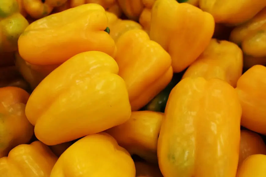 Bell Pepper Yellow