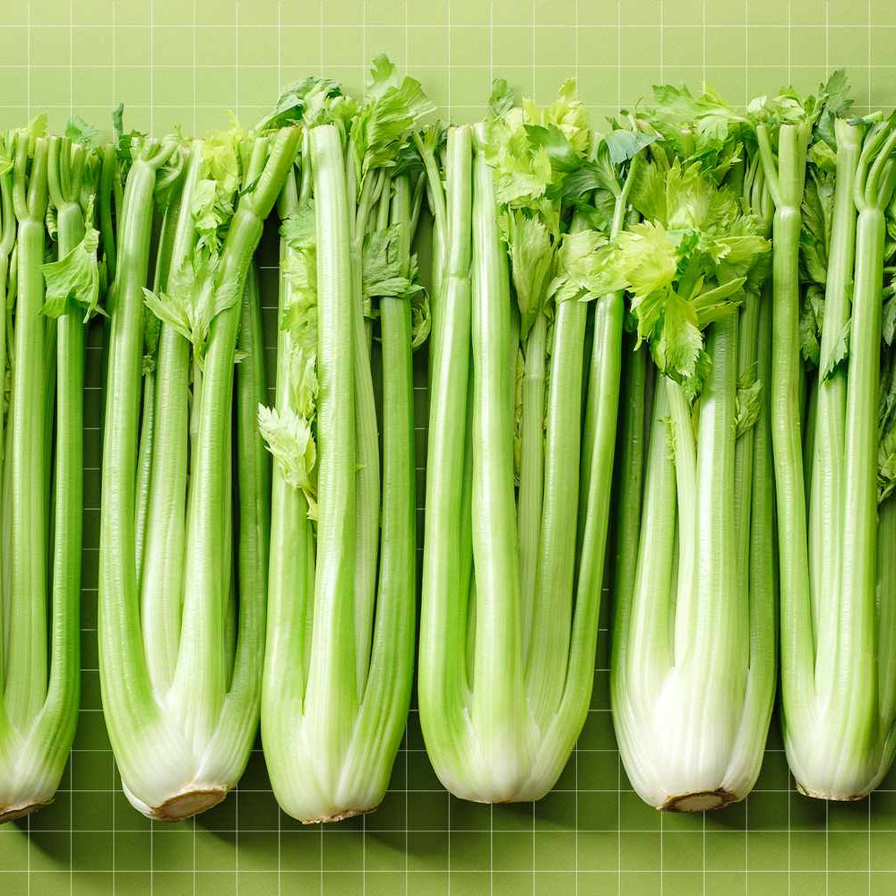 Celery