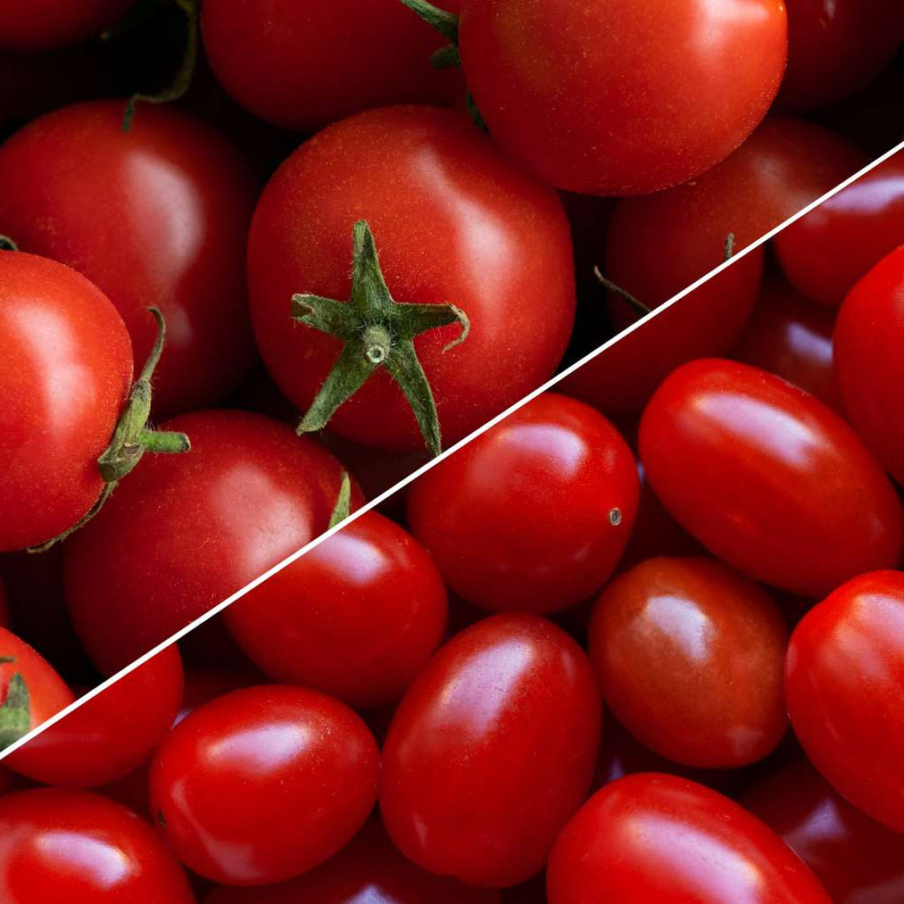 Cherry Tomato