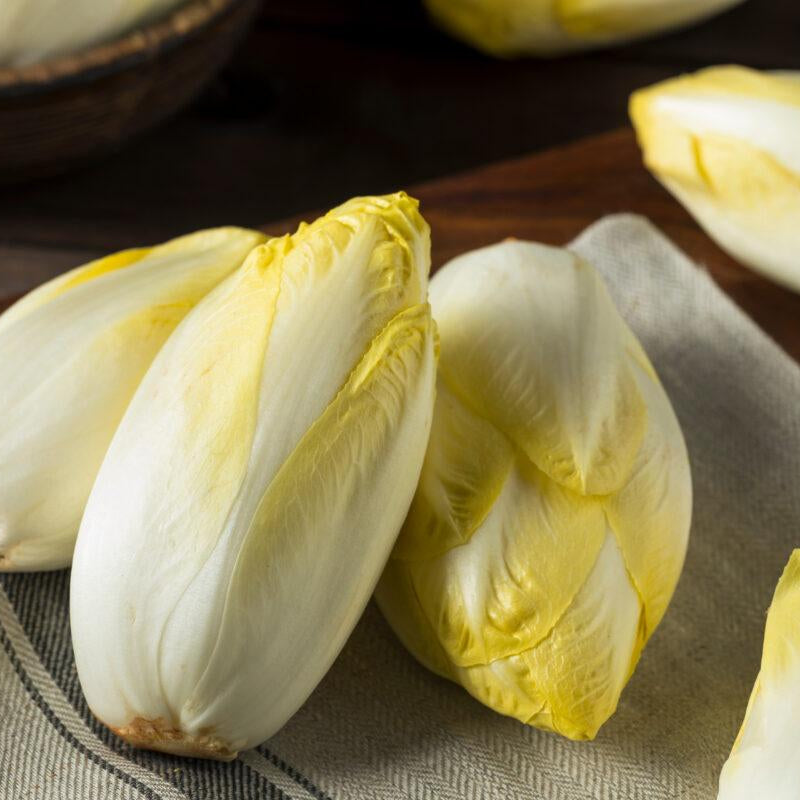 Chicory