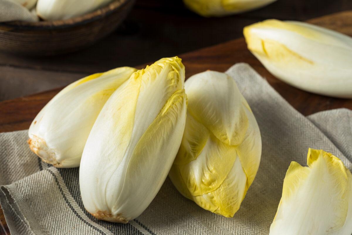 Chicory