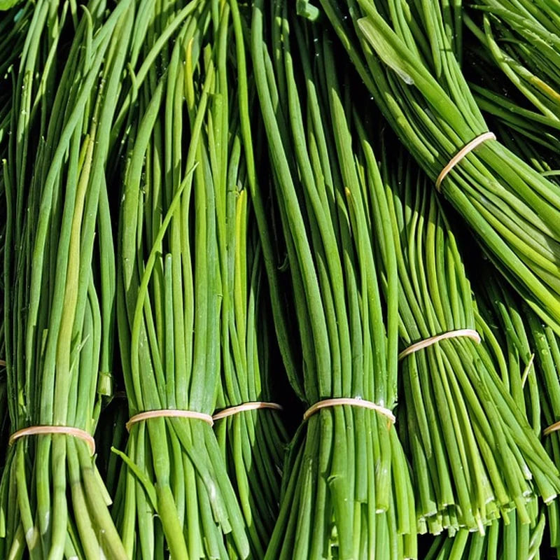 Chives