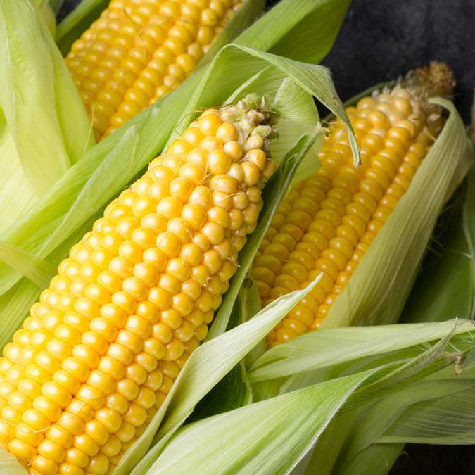 Corn