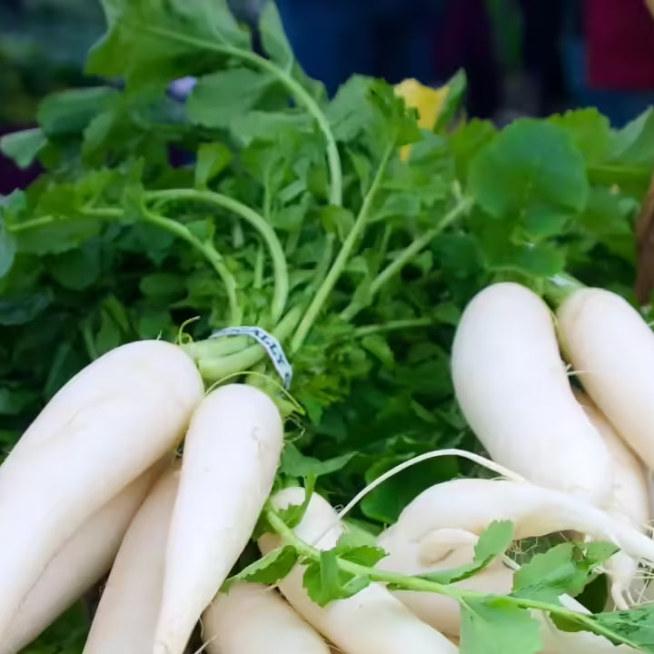 Daikon Leaves