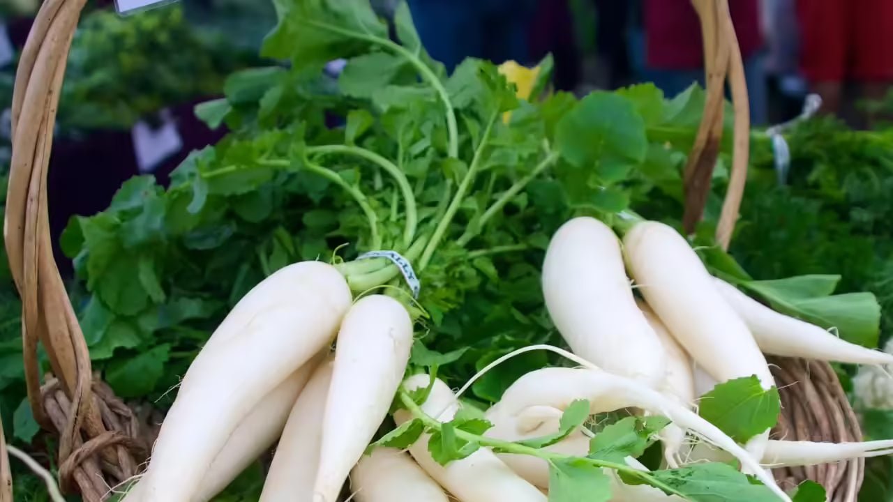 Daikon Leaves
