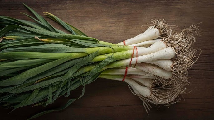 Garlic Leaves